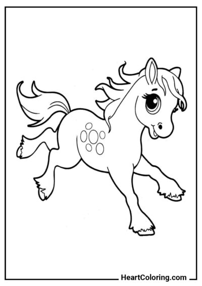 Petit Poney Joueur - Coloriages de Chevaux