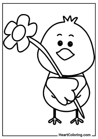 Desenho para crianças: Pintinho fofo segurando uma flor da coleção "Desenhos da Primavera para Colorir"