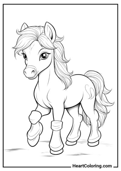 Pônei fofo - Desenhos de Cavalos para Colorir