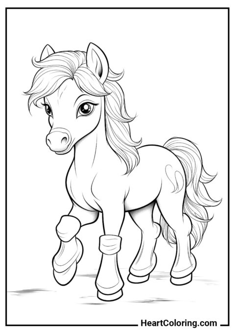 Mignon poney - Coloriages de Chevaux