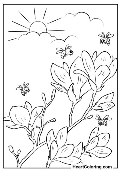 Colorir com alegria: Primeiras flores nas árvores