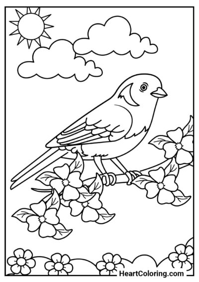 Pájaro dulce en una rama — dibujo perfecto para imprimir
