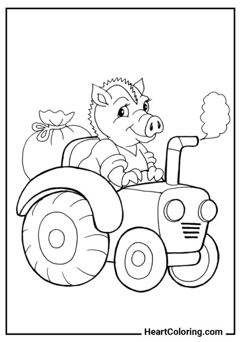 Petit cochon sur un tracteur - Coloriage Tracteur
