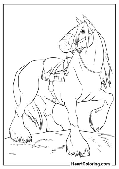 Strong mustang - Horses and Ponies Coloring Pages