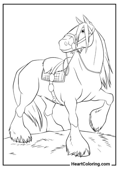 Mustang fort - Coloriages de Chevaux