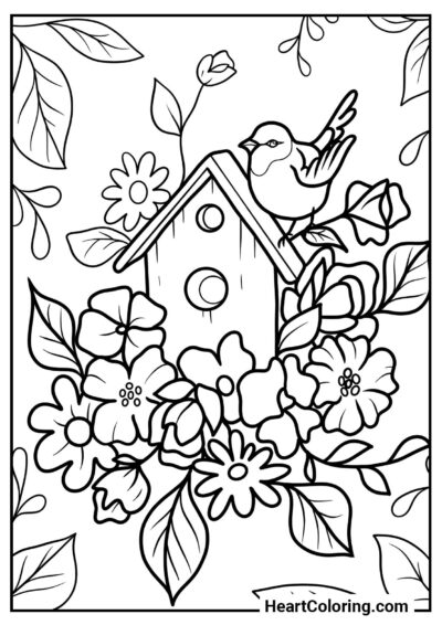 Colorir e se divertir com Casinha de passarinho nova da coleção "Desenhos da Primavera para Colorir"