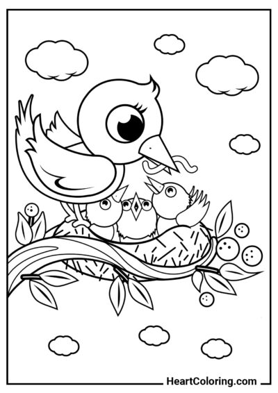 Maman nourrit les poussins - Coloriages de Printemps