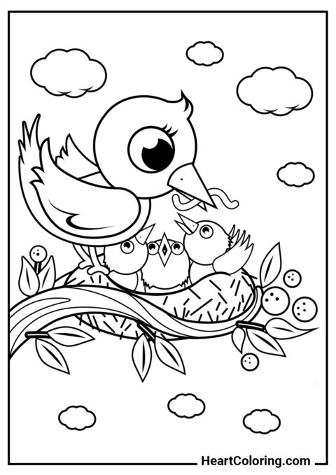 Maman nourrit les poussins - Coloriages de Printemps