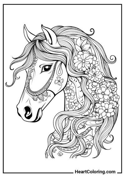 Cabeza de caballo antiestrés - Dibujos de Caballos para colorear