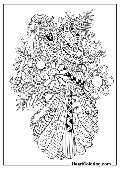 Parrot - AntiStress Coloring Pages