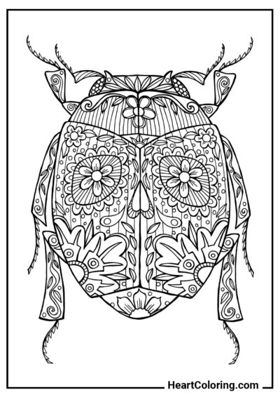 Escarabajo - Dibujos Antiestrés para Colorear