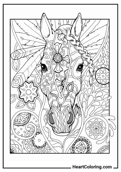 Horse - Adult Coloring Pages