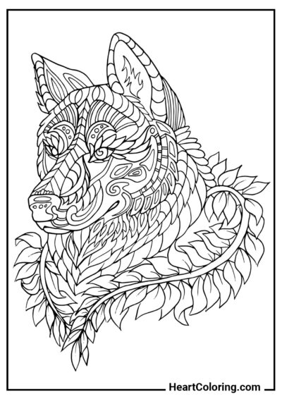 Голова волка, окруженная листьями - Раскраски для Взрослых