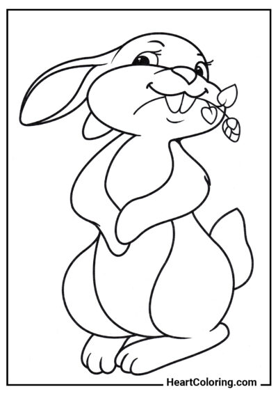 Invitation to dance - Bunnies and Rabbits Coloring Pages