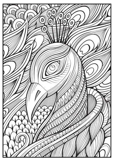 Cabeça de pavão - Desenhos para Colorir para Adultos