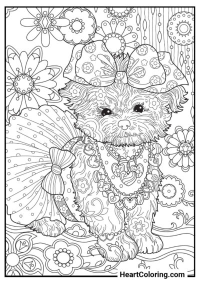 Dressy puppy - AntiStress Coloring Pages
