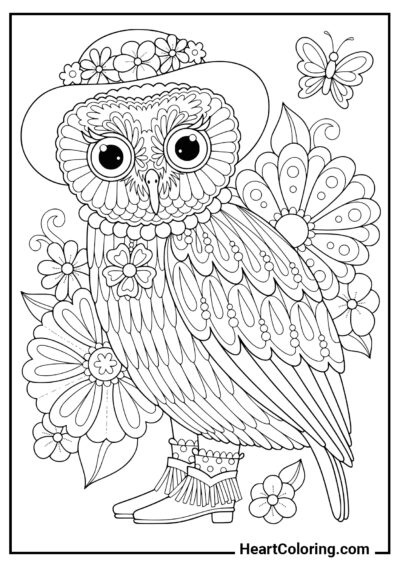 Funny owl - AntiStress Coloring Pages