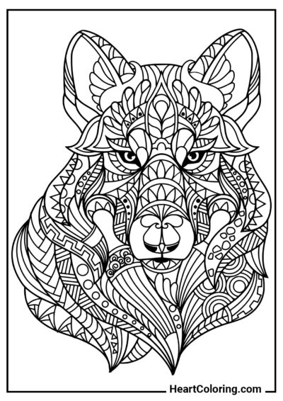 Tête de loup - Coloriages Anti-stress