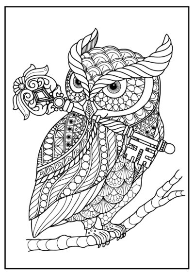 Eagle owl with a key - AntiStress Coloring Pages