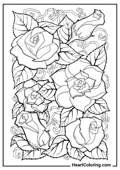 Roses - AntiStress Coloring Pages