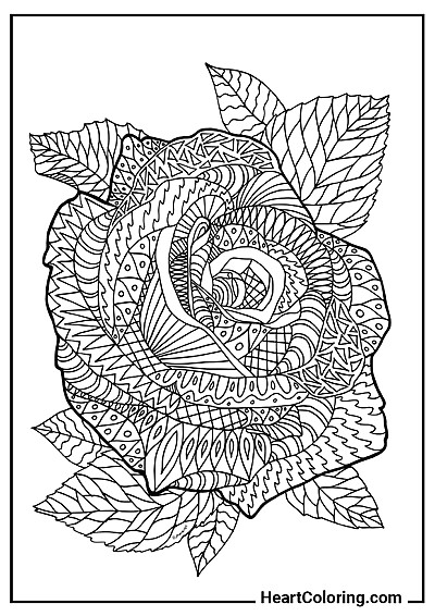 Patterned Rose – PDF coloring to download and print