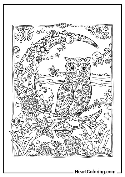 Owl on a Crescent Moon – fun and educational coloring