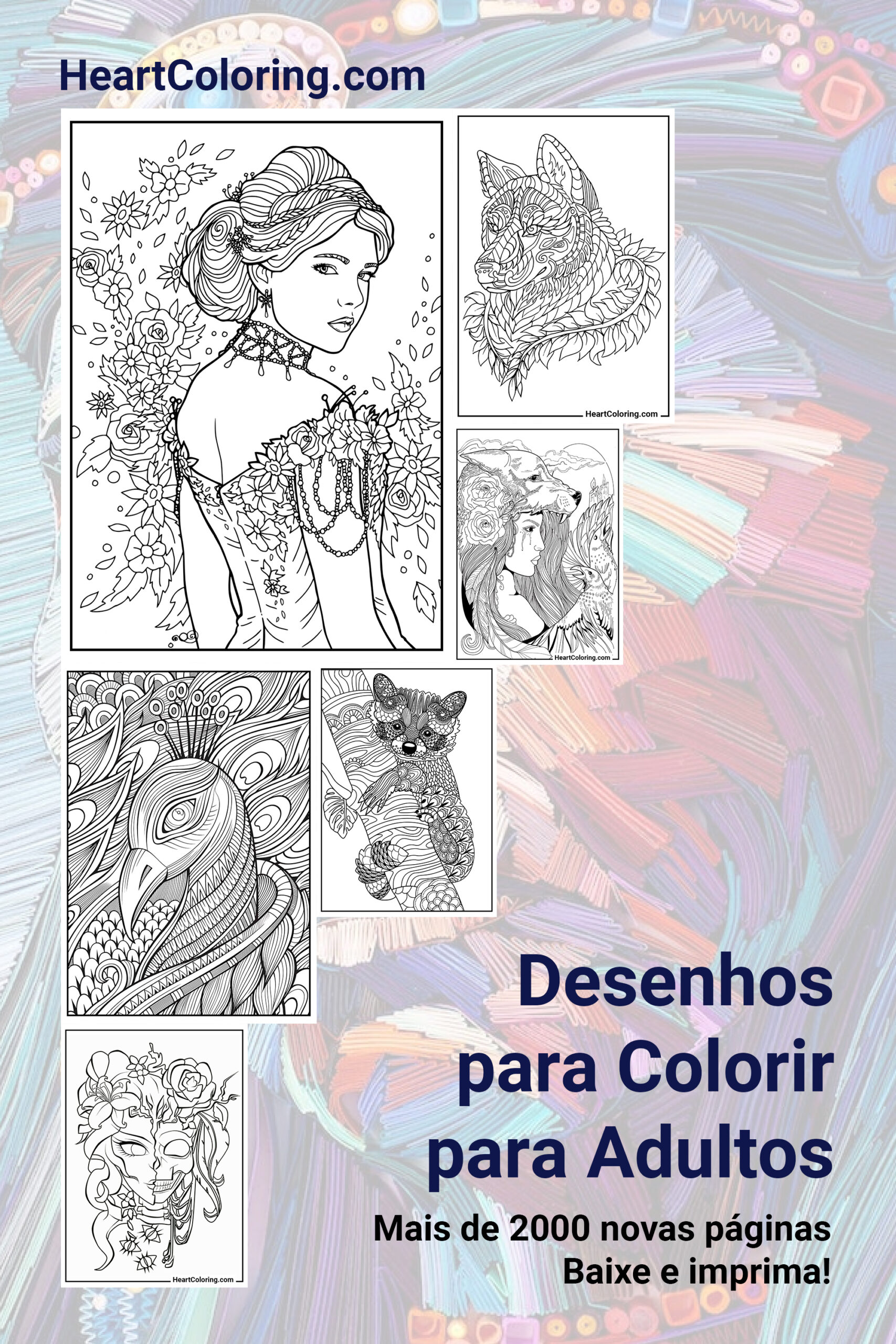 Desenhos para colorir para adultos | Mais de 2000 imagens