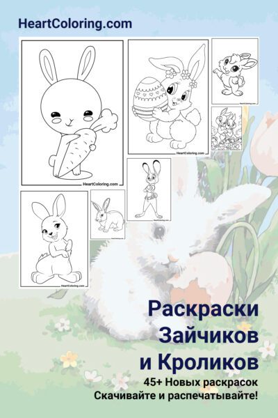 Раскраски Млекопитающих распечатать на А4 и скачать