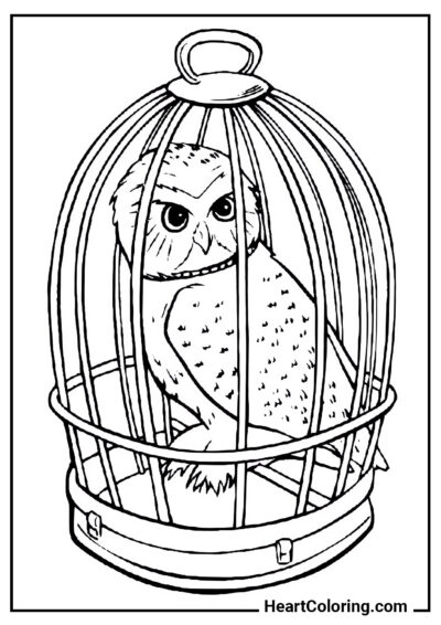 Hedwig - Harry Potter Coloring Pages