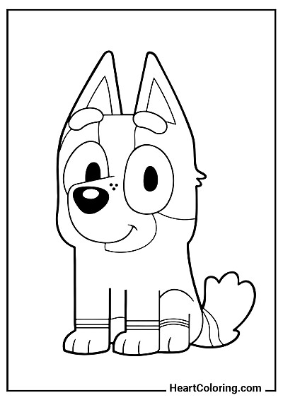 Socks Heeler — kolorowanka z kategorii "Kolorowanki Blue"