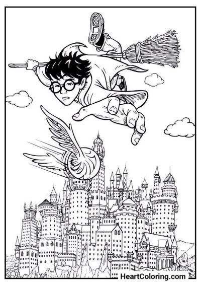 Quadribol - Desenhos do Harry Potter para Colorir
