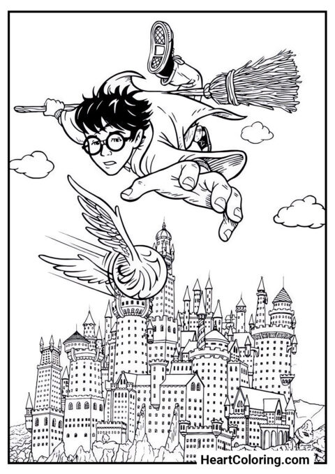 Quidditch - Coloriages Harry Potter