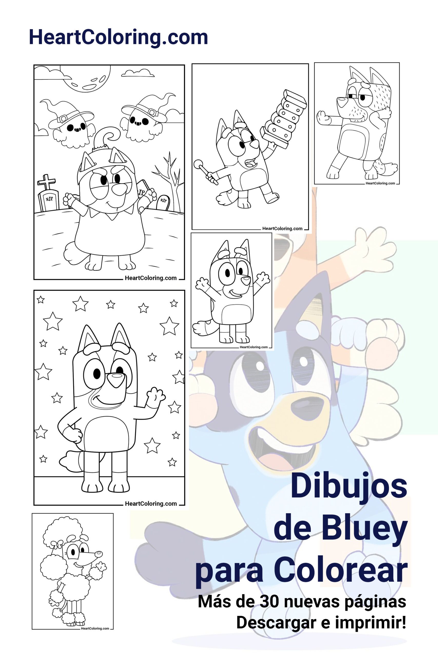 Dibujos de Bluey para colorear | ¡Más de 30 impresiones!