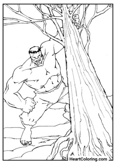 Hulk is furious - Hulk Coloring Pages
