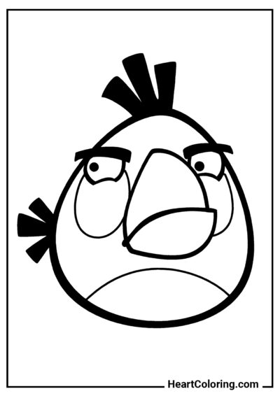 Matilda - Desenhos do Angry Birds para Colorir