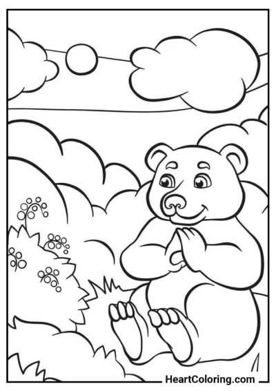 Urso na floresta - Desenhos de Ursos para Colorir