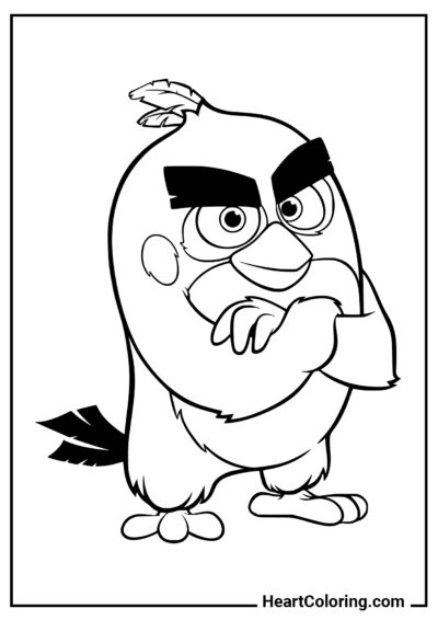 Self-confident Red - Angry Birds Coloring Pages