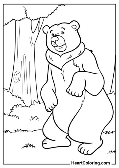 Ours en promenade - Coloriage Ours