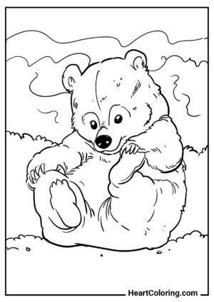Schönes Bild zum Ausmalen: Sitzender Bär