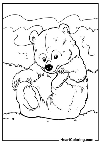 Сидящий медведь - Раскраски Медведи
