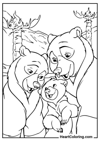 Семья медведей - Раскраски Медведи