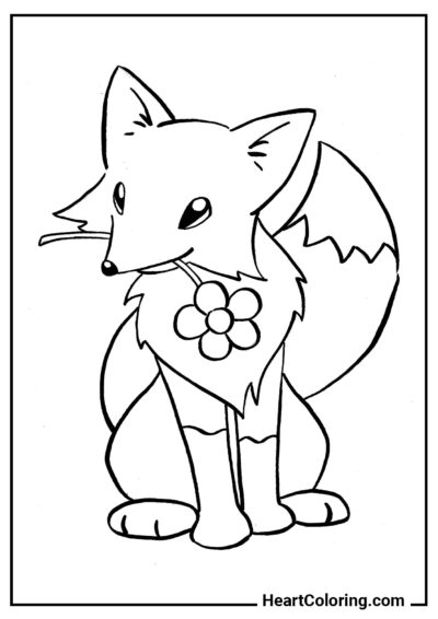 Fox with a flower - Foxes Coloring Pages