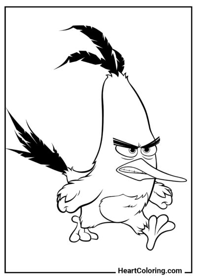 Angry Chuck - Angry Birds Coloring Pages