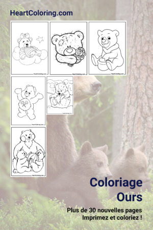 Coloriage Ours