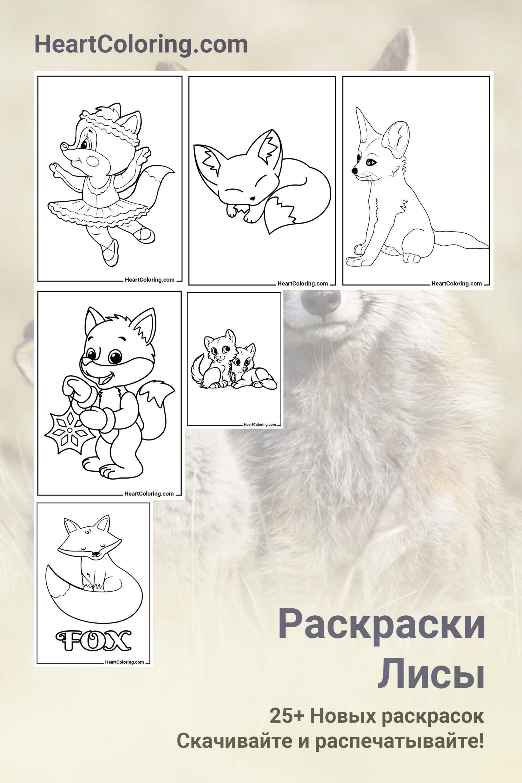 Раскраски Лис и Лисят
