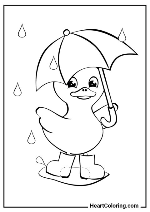 Duckling in the Rain - Autumn Coloring Pages