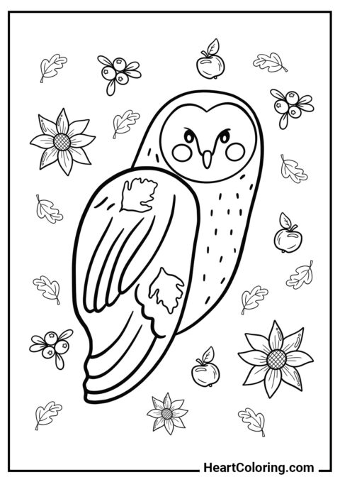 Autumn Owl - Autumn Coloring Pages