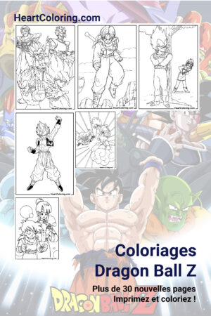 Coloriages Dragon Ball Z