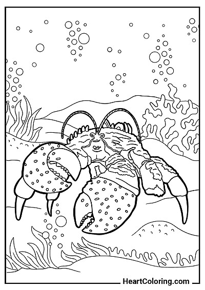 Kolorowanka Tamatoa, olbrzymi krab — darmowe pliki PDF i JPG