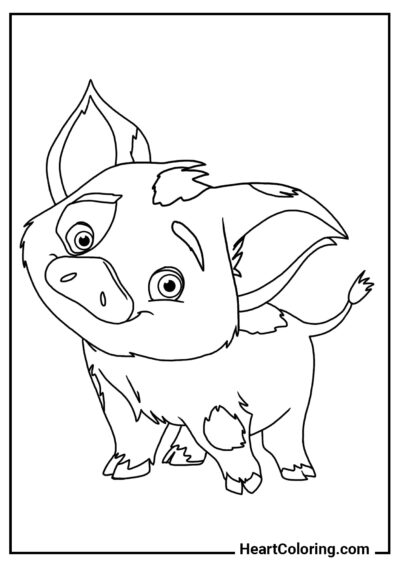 Pig Pua - Moana Coloring Pages